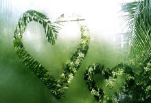 2020湖人总决赛全部回放哪里能看？经典战役细节与精彩瞬间全解析